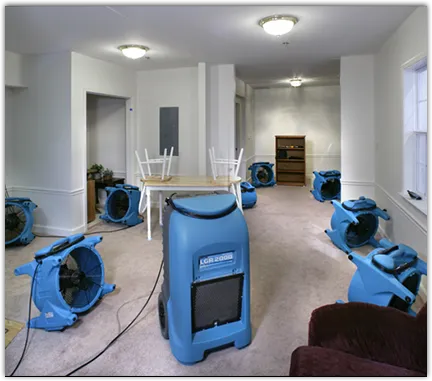 Basement Flood Cleanup in Colesville, MD
