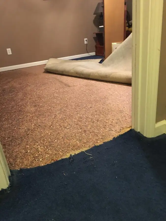 Carpet pad removal revealing water damage during Drying & Dehumidification in Colesville