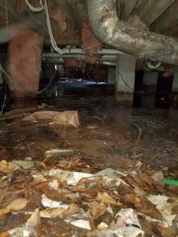 Crawl space flood assessment for Leak Detection & Repair in Colesville